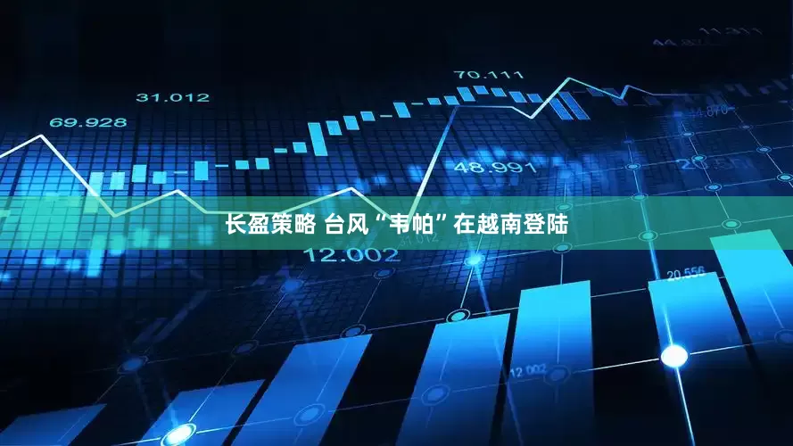 长盈策略 台风“韦帕”在越南登陆