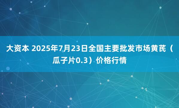 大资本 2025年7月23日全国主要批发市场黄芪（瓜子片0.3）价格行情