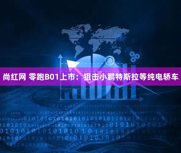 尚红网 零跑B01上市：狙击小鹏特斯拉等纯电轿车