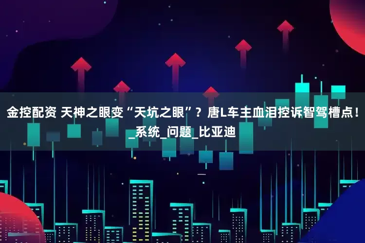 金控配资 天神之眼变“天坑之眼”？唐L车主血泪控诉智驾槽点！_系统_问题_比亚迪