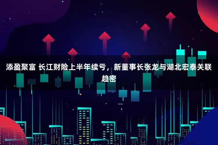 添盈聚富 长江财险上半年续亏，新董事长张龙与湖北宏泰关联趋密