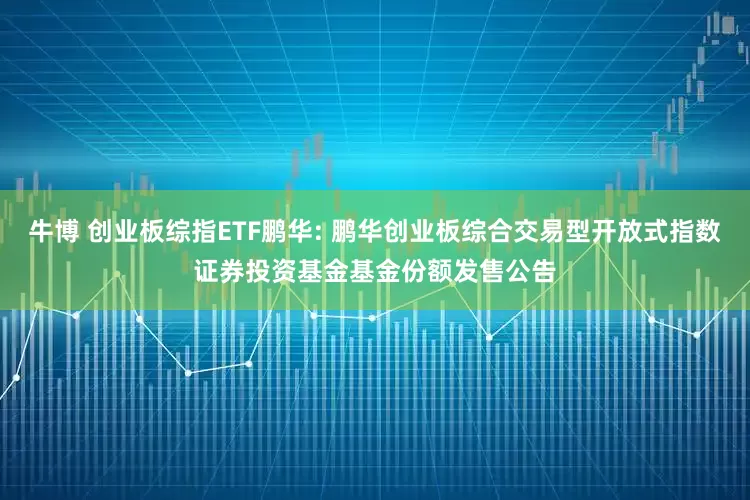 牛博 创业板综指ETF鹏华: 鹏华创业板综合交易型开放式指数证券投资基金基金份额发售公告