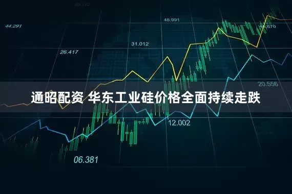 通昭配资 华东工业硅价格全面持续走跌