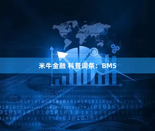 米牛金融 科普词条：BMS